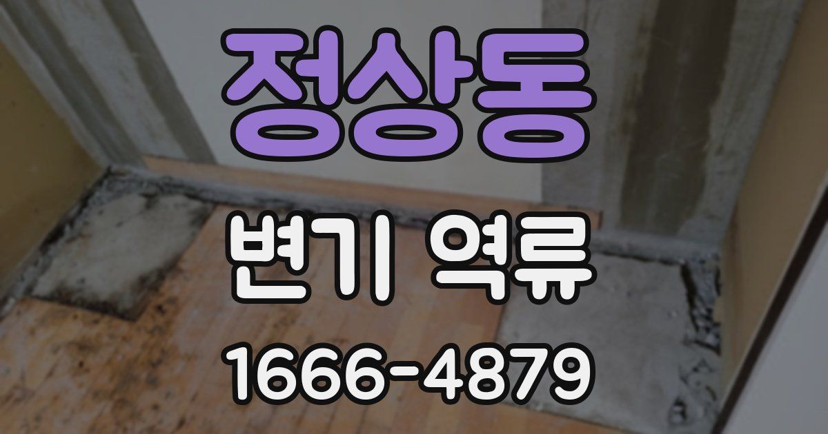 정상동 변기 역류