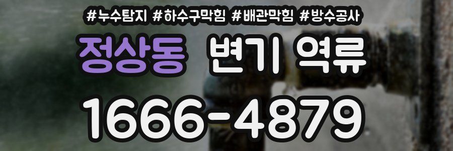 정상동 변기 역류