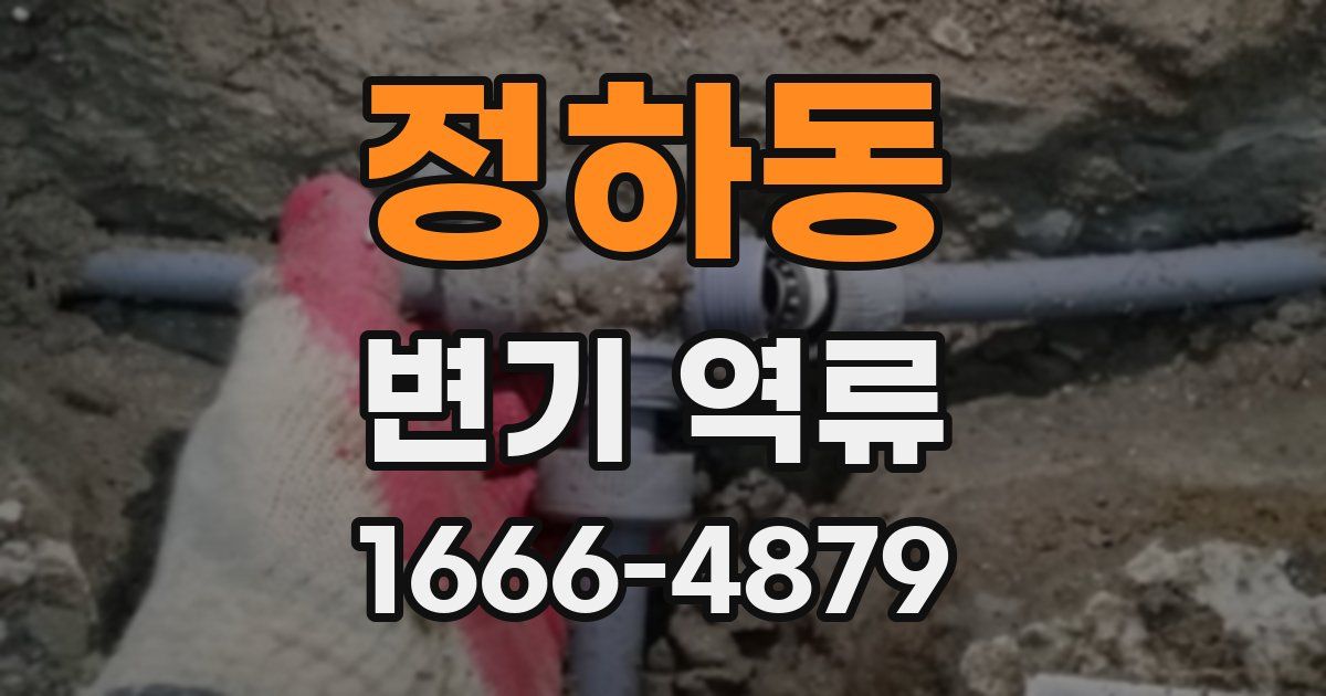 정하동 변기 역류