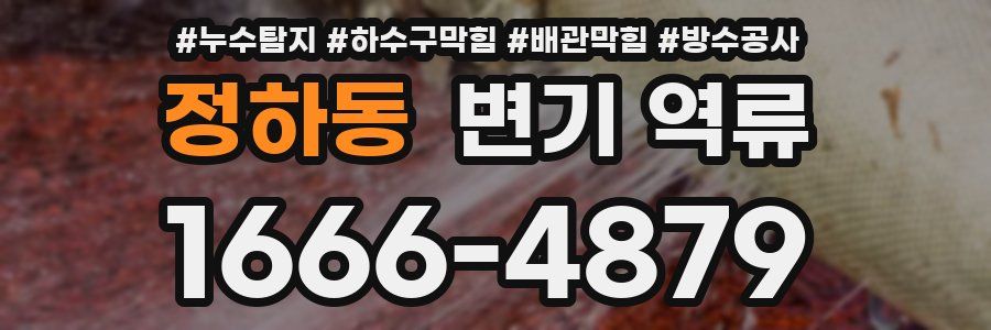 정하동 변기 역류