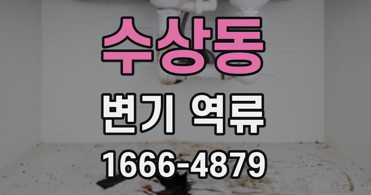 수상동 변기 역류