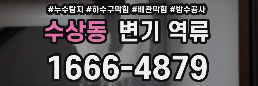 수상동 변기 역류