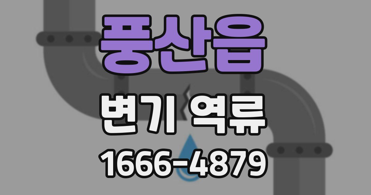 풍산읍 변기 역류