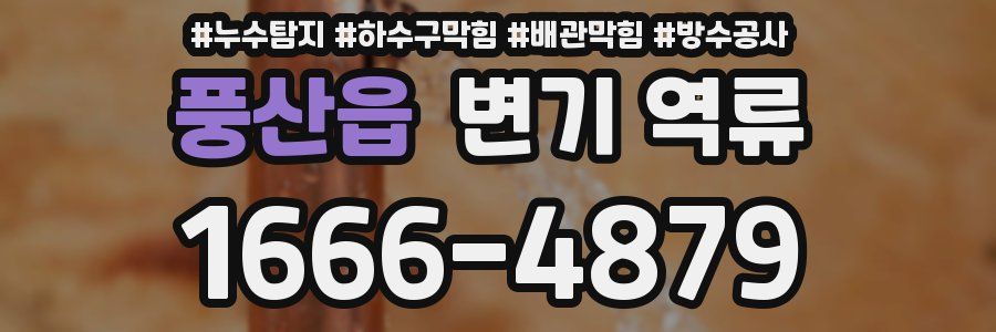풍산읍 변기 역류