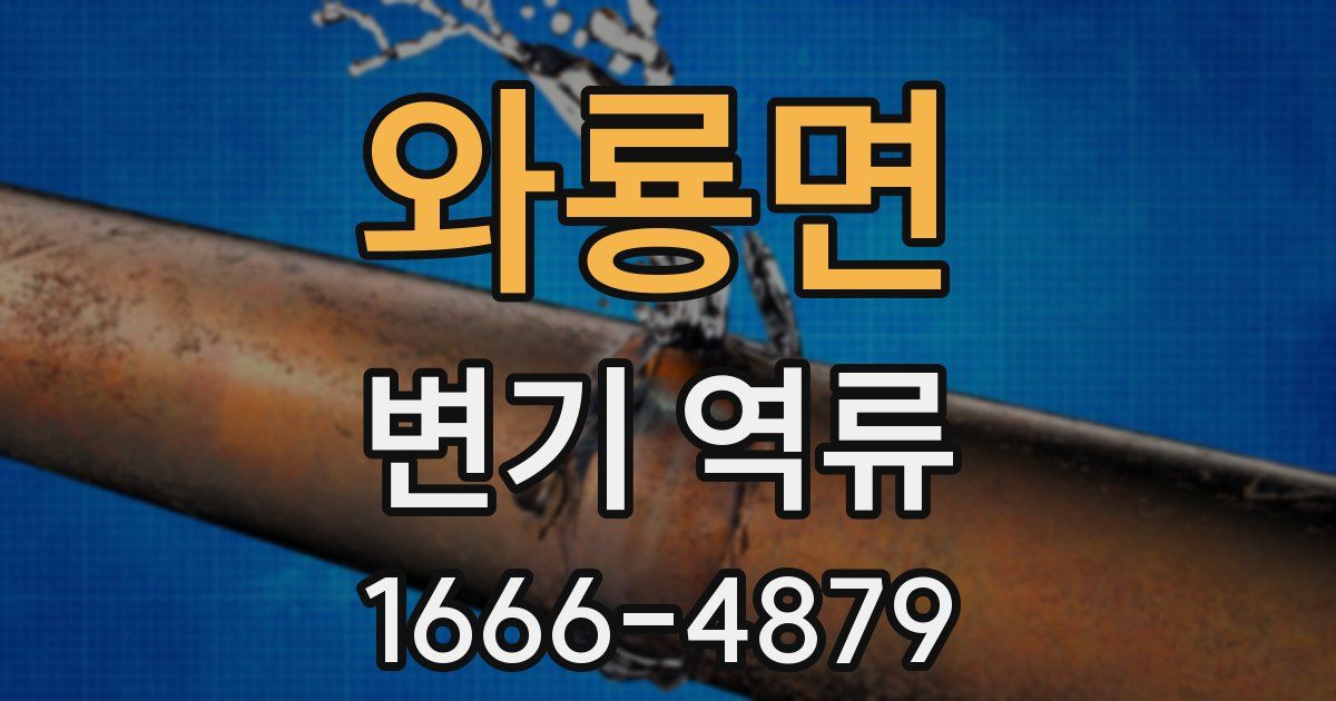 와룡면 변기 역류