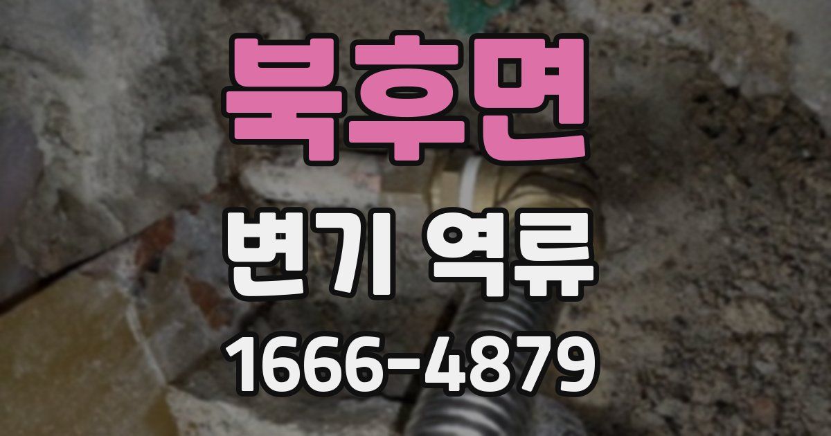 북후면 변기 역류