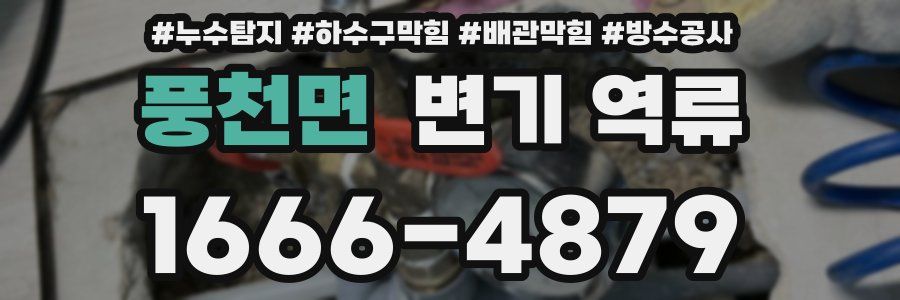 풍천면 변기 역류