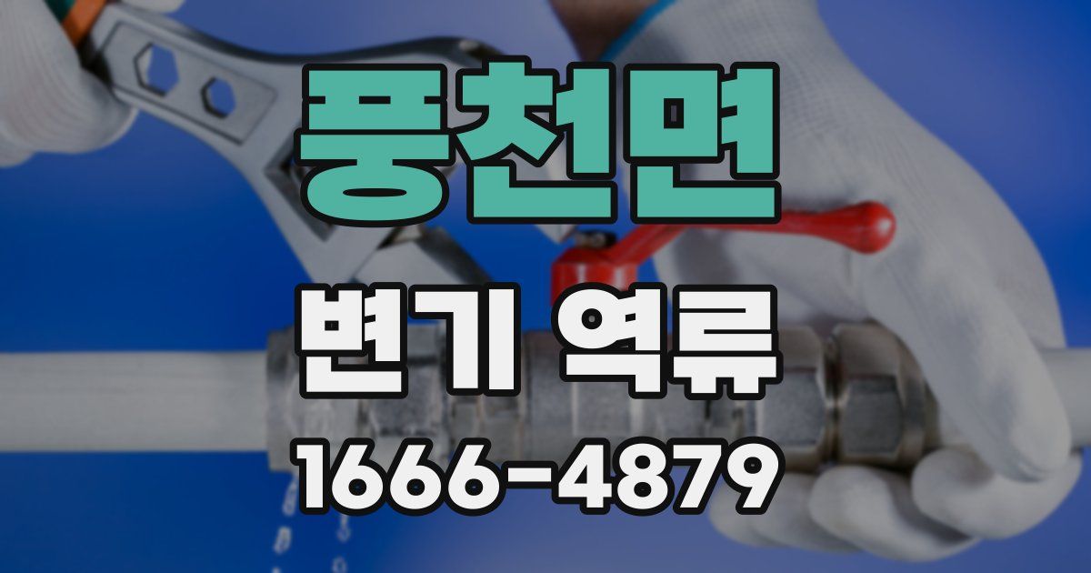 풍천면 변기 역류