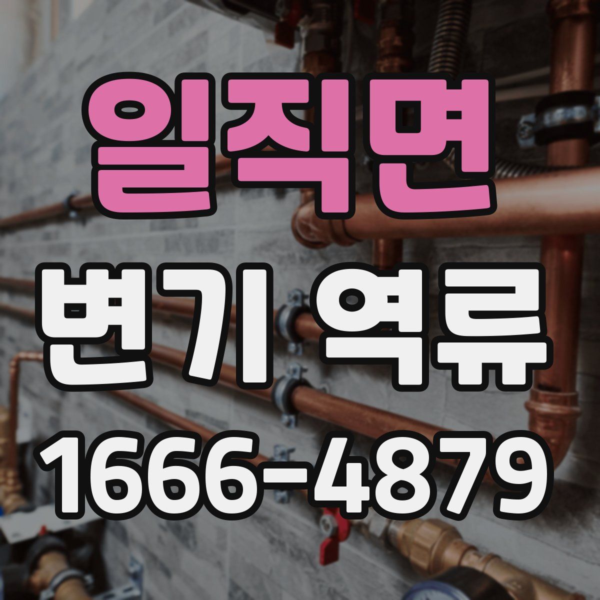 일직면 변기 역류