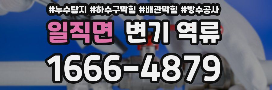 일직면 변기 역류