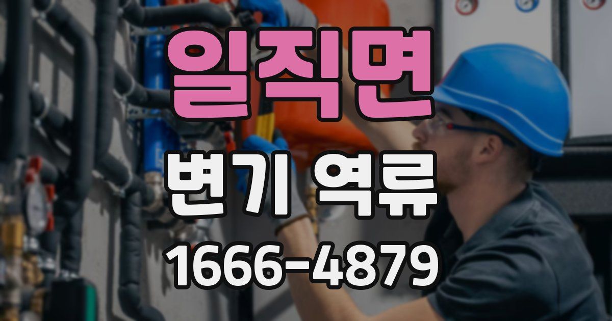 일직면 변기 역류