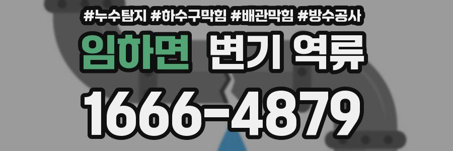 임하면 변기 역류