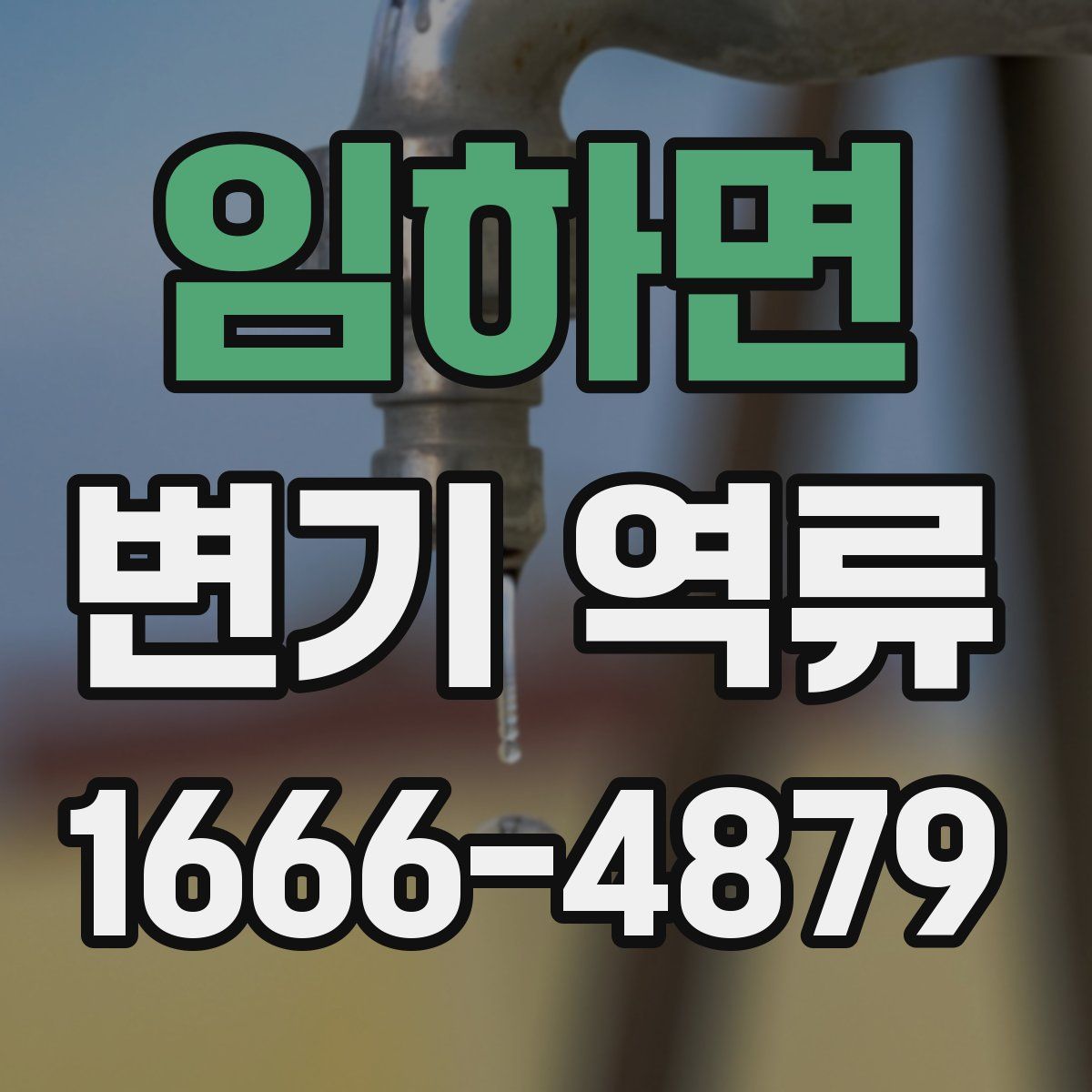 임하면 변기 역류