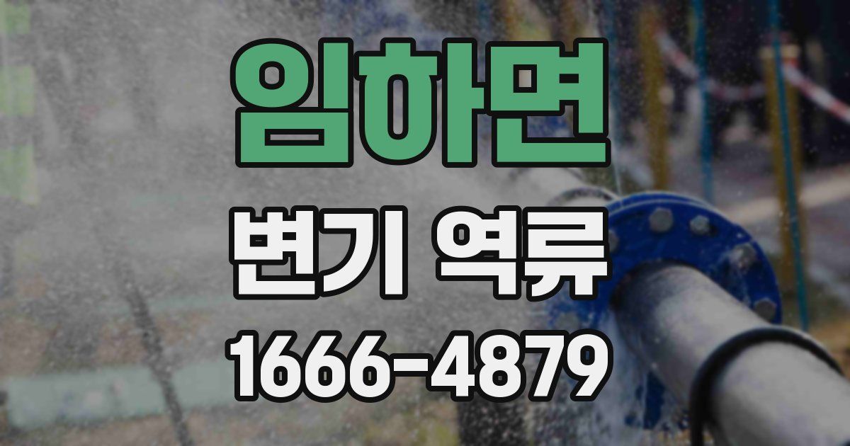 임하면 변기 역류