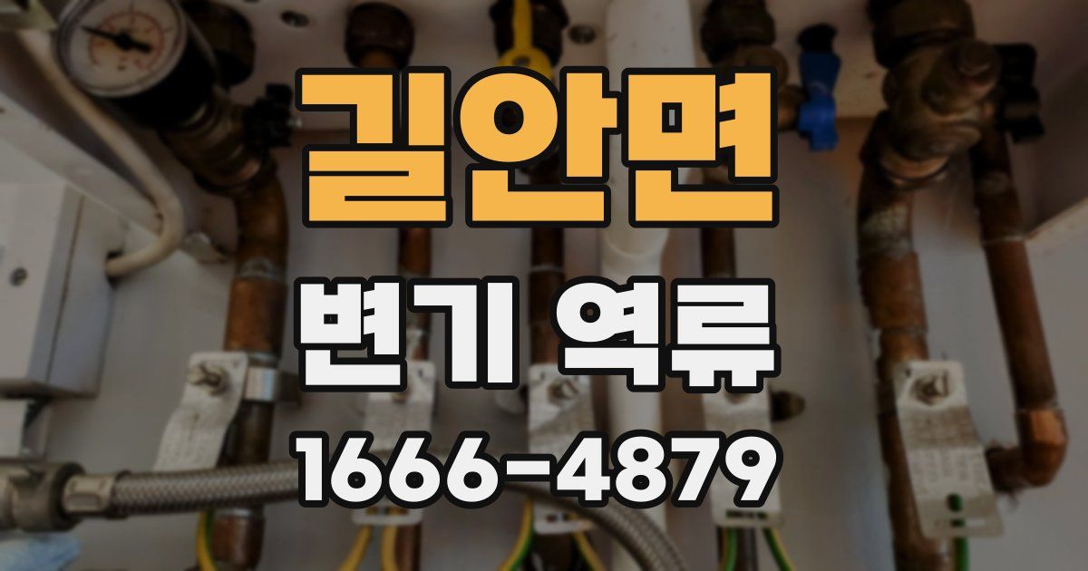 길안면 변기 역류