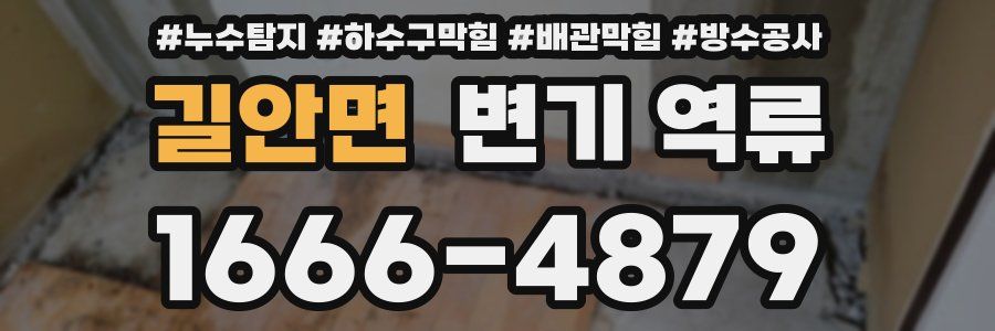 길안면 변기 역류