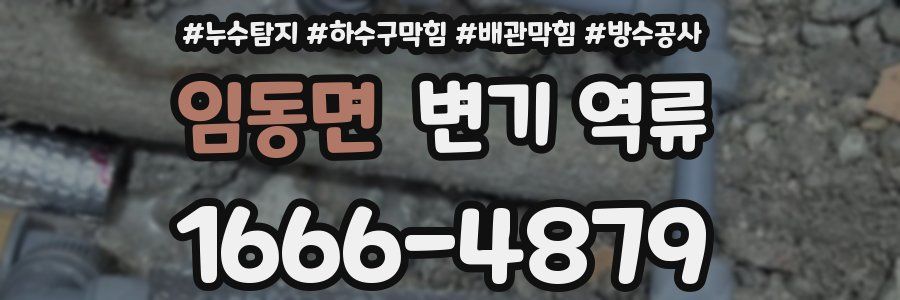 임동면 변기 역류