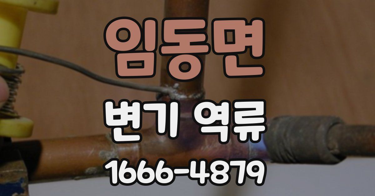 임동면 변기 역류