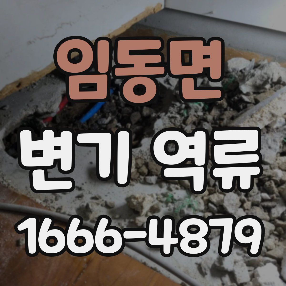 임동면 변기 역류