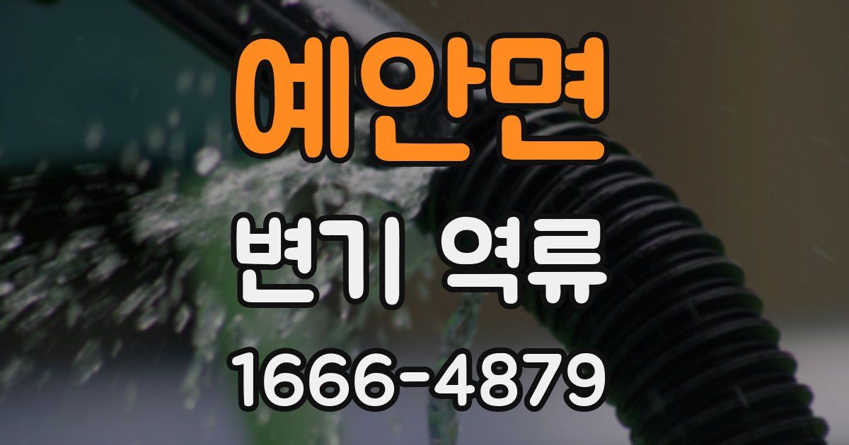 예안면 변기 역류