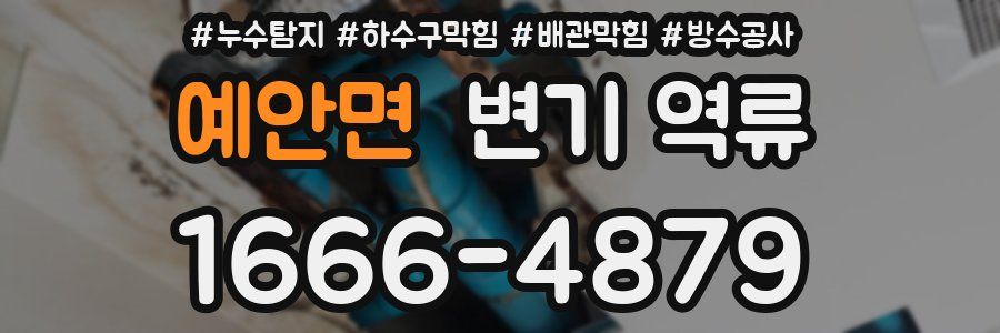예안면 변기 역류