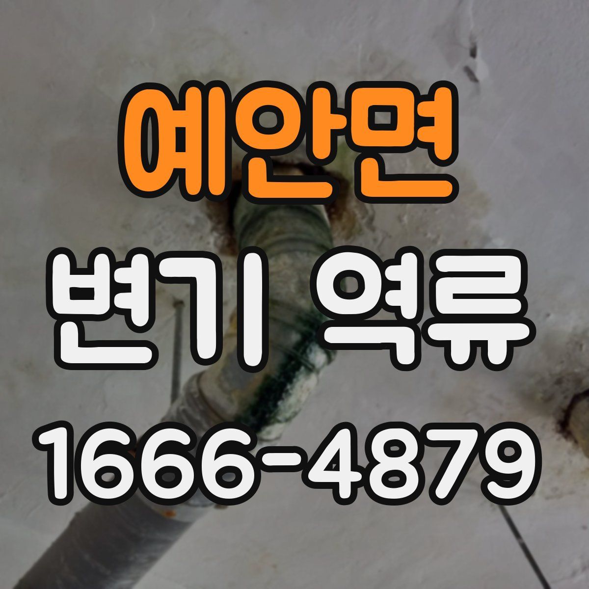 예안면 변기 역류