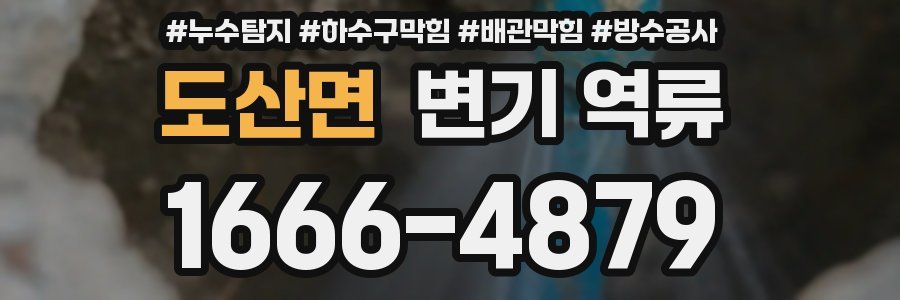 도산면 변기 역류