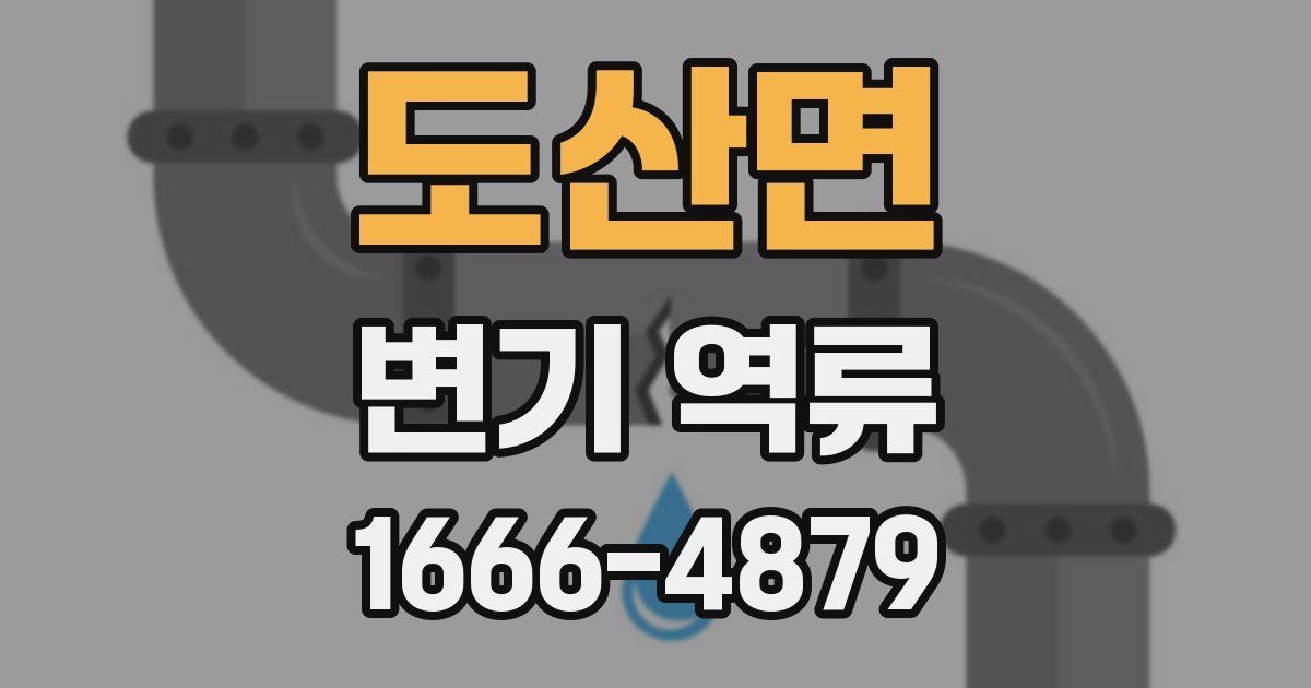 도산면 변기 역류