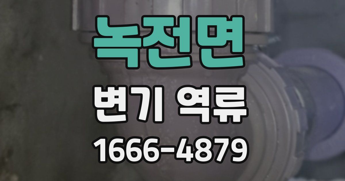 녹전면 변기 역류