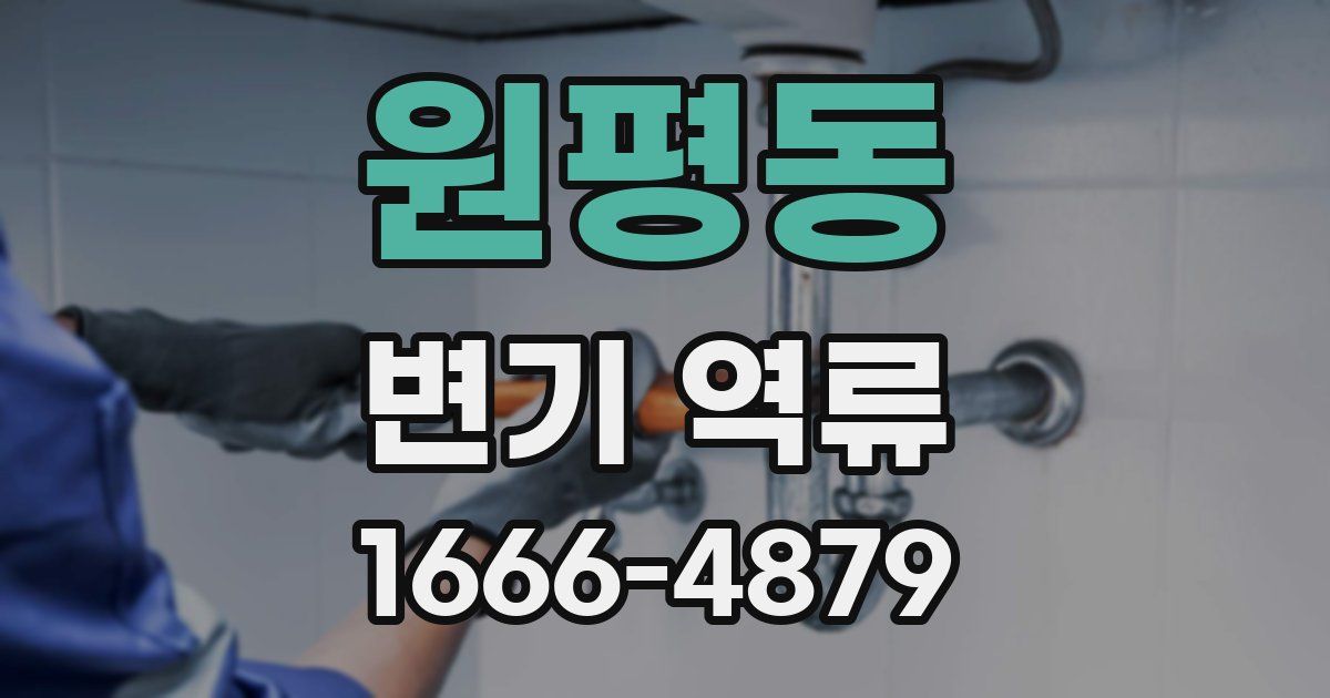 원평동 변기 역류