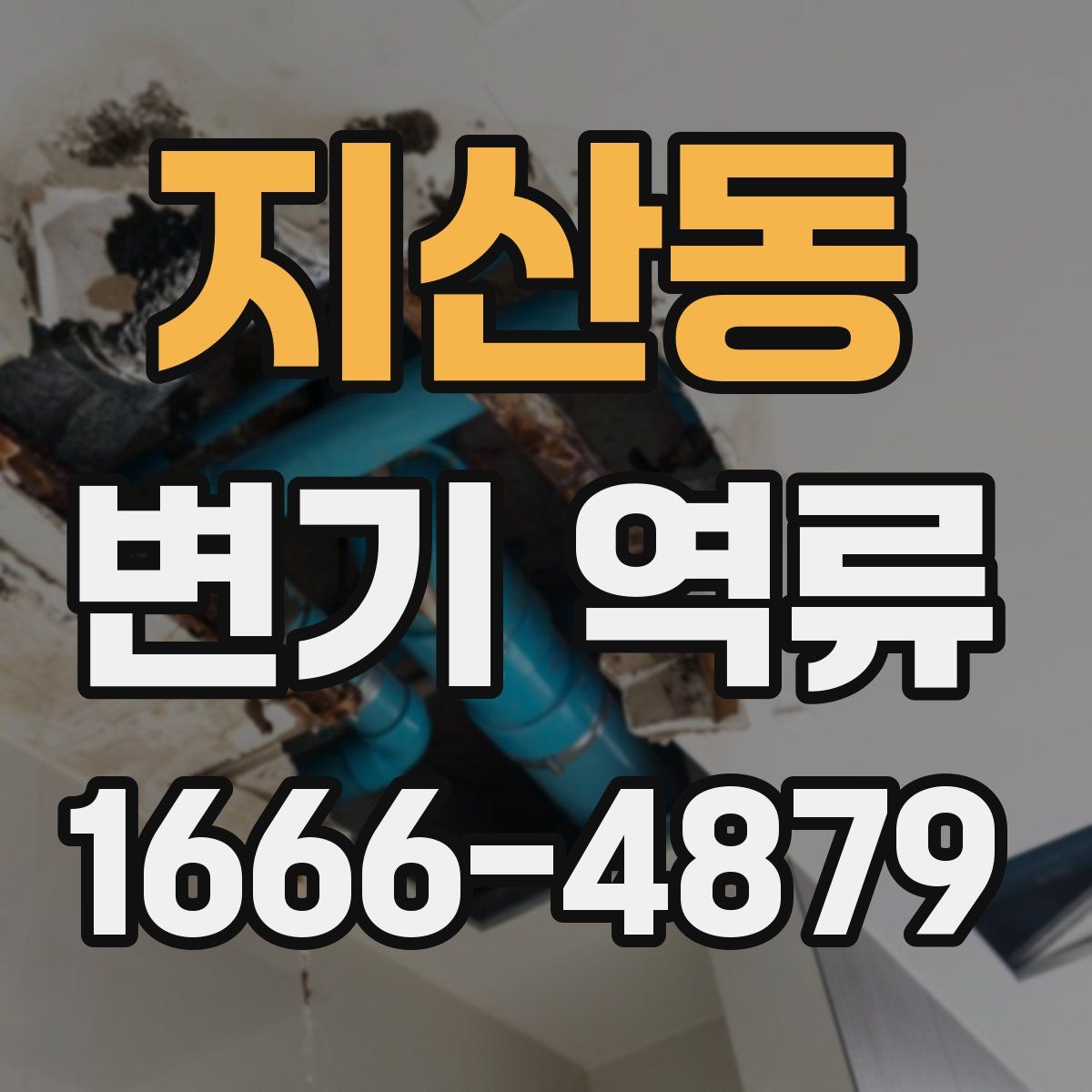 지산동 변기 역류