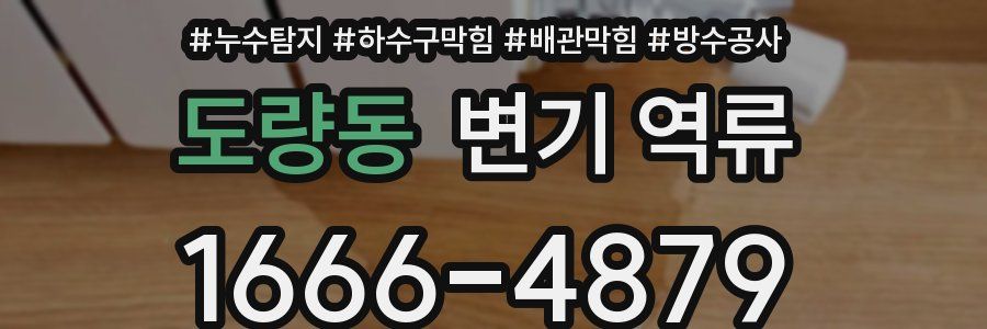도량동 변기 역류