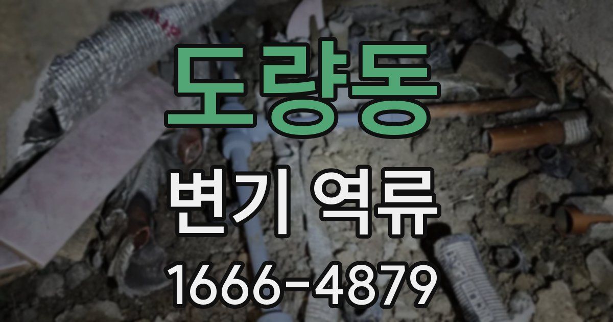 도량동 변기 역류