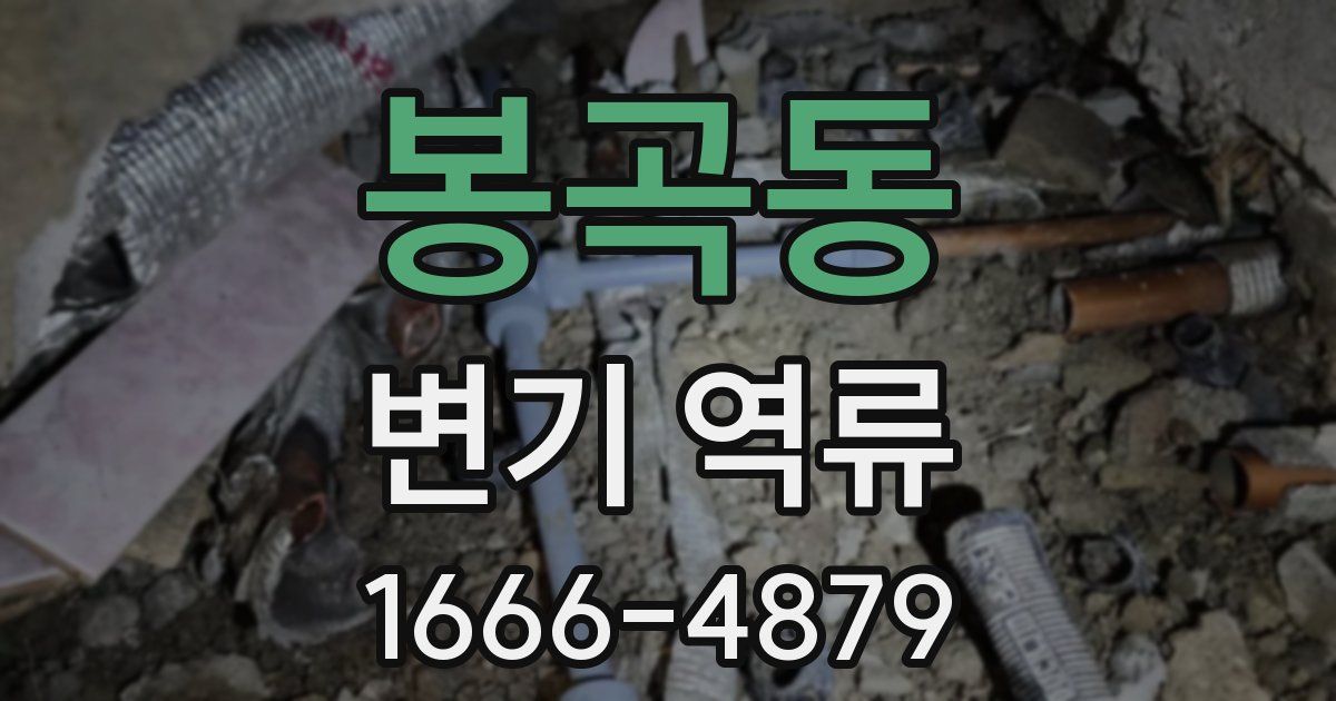 봉곡동 변기 역류