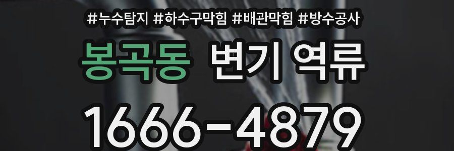 봉곡동 변기 역류