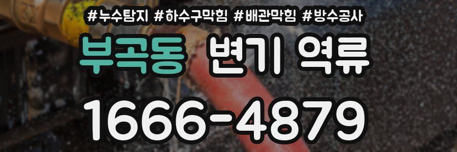 부곡동 변기 역류