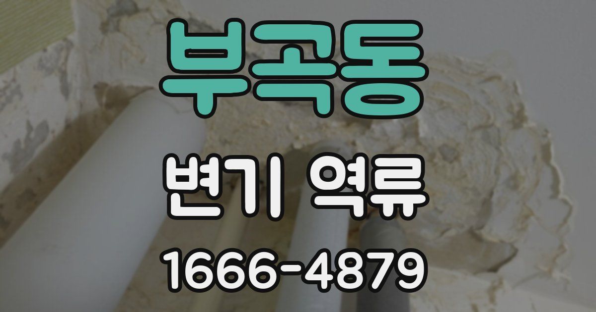 부곡동 변기 역류