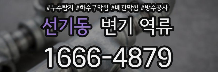 선기동 변기 역류