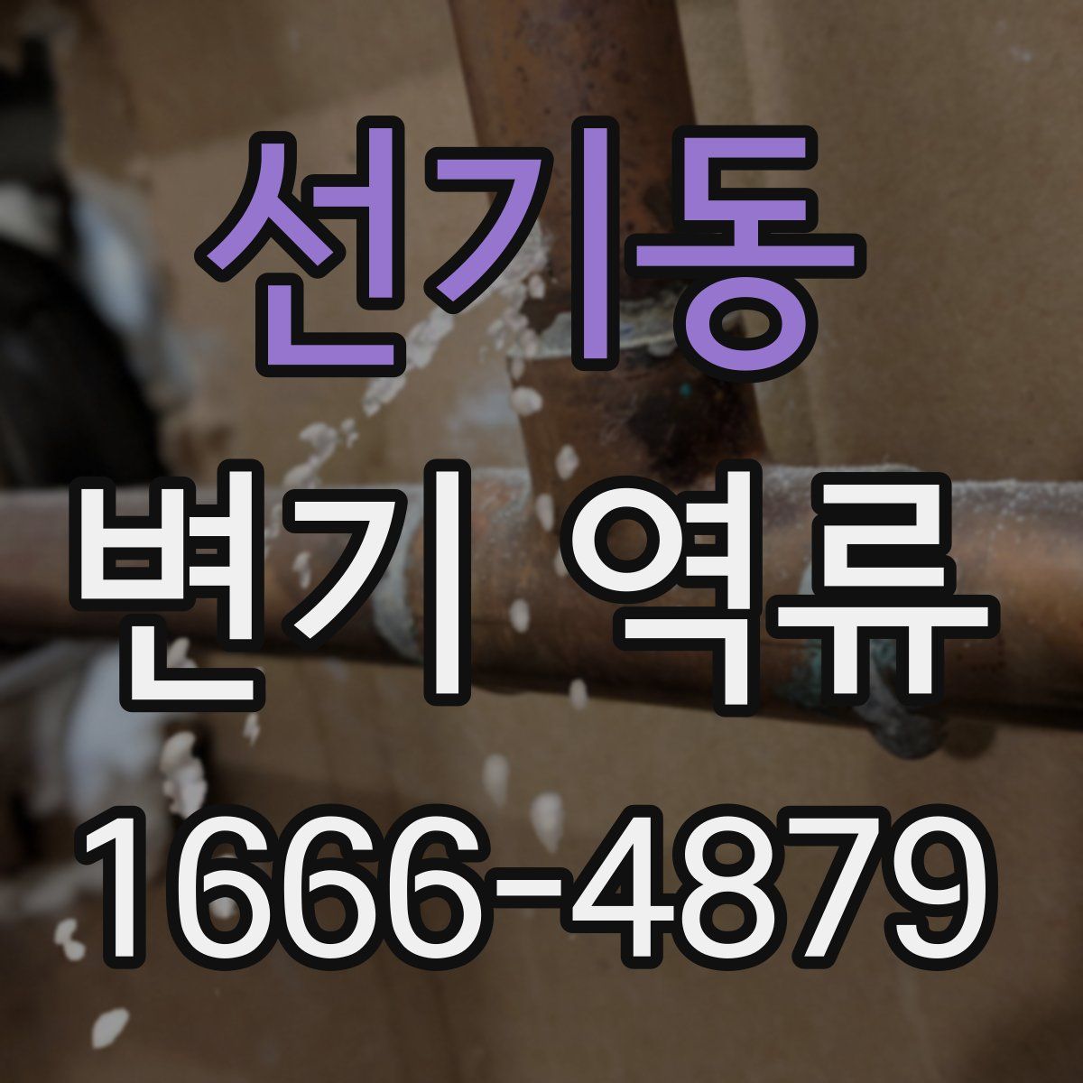 선기동 변기 역류