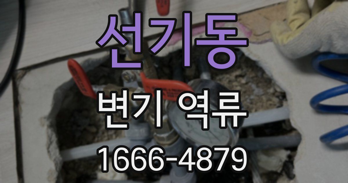 선기동 변기 역류