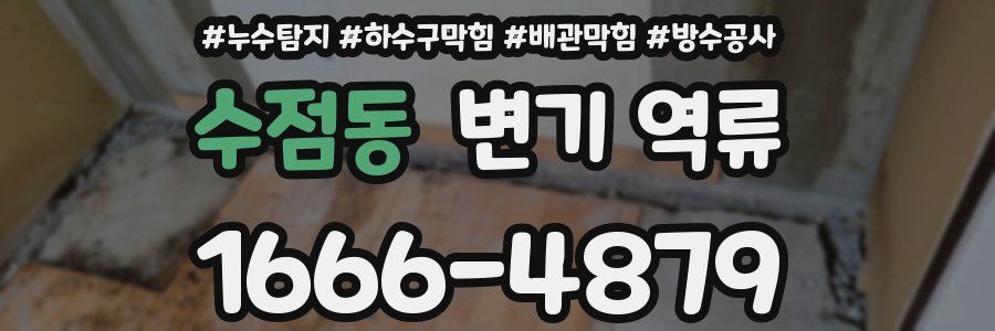 수점동 변기 역류