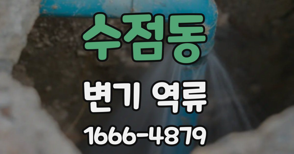 수점동 변기 역류