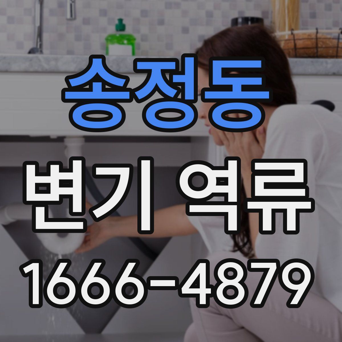 송정동 변기 역류