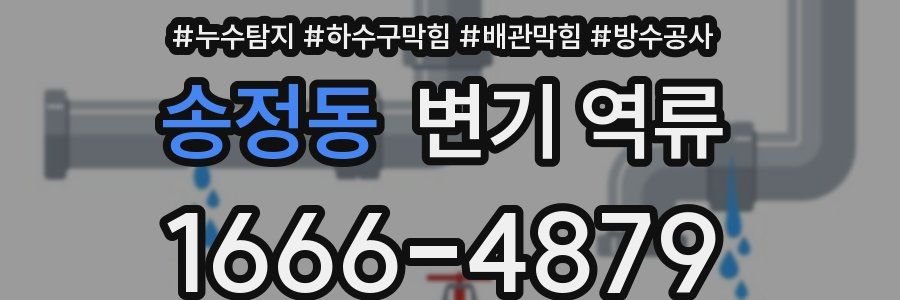 송정동 변기 역류