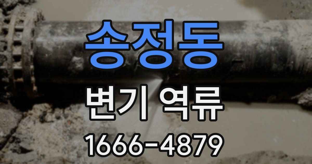 송정동 변기 역류