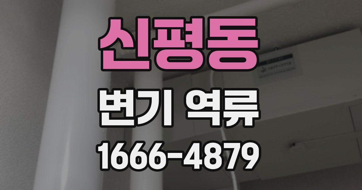 신평동 변기 역류