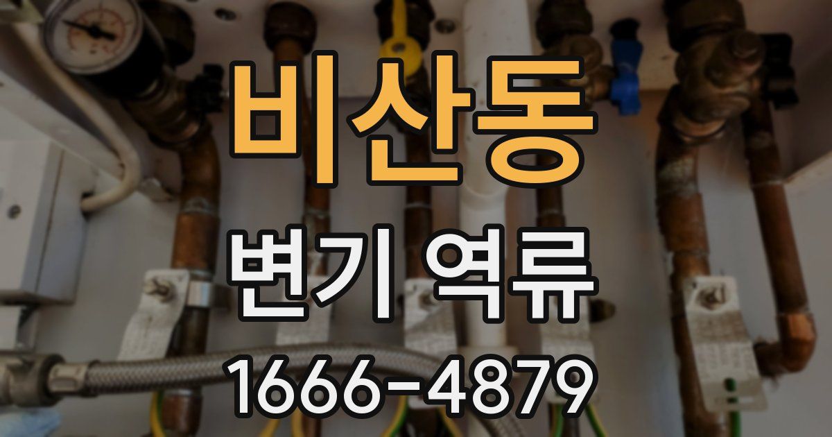 비산동 변기 역류