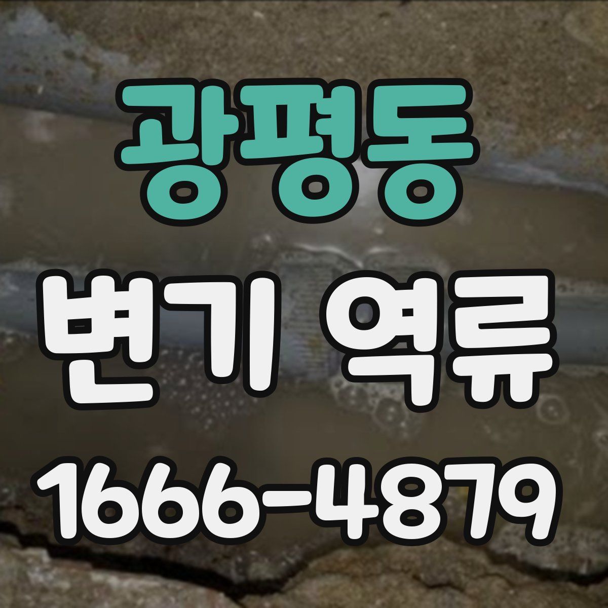 광평동 변기 역류
