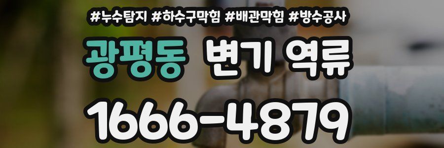 광평동 변기 역류