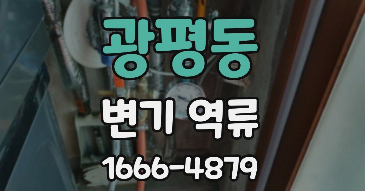 광평동 변기 역류